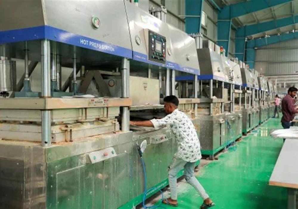 Export level Bagasse Manufacturer